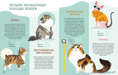 Все-все-все домашние питомцы