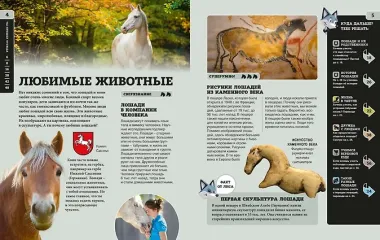 Лошади