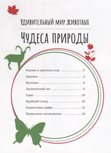 Чудеса природы