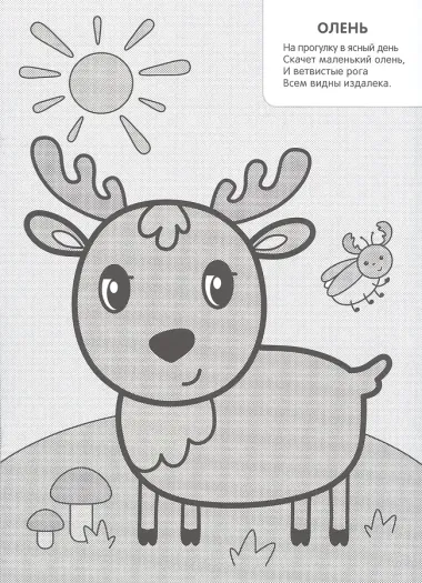 Мои первые водные раскраски.  Набор из 4 книг