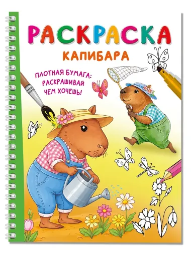 Капибара
