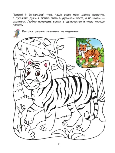 Джунгли: познавательная раскраска