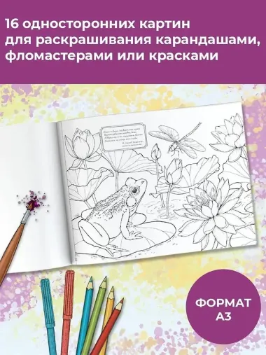 Моя любимая природа