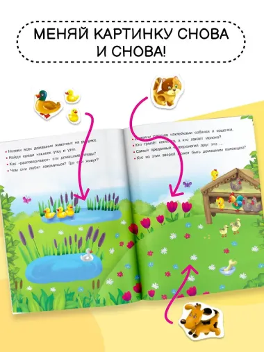 Домашние любимцы