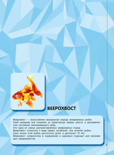 Подводный мир