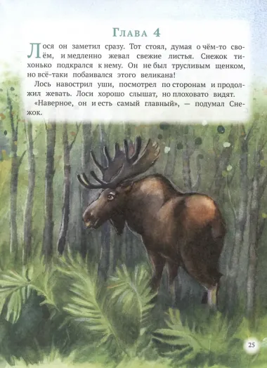 Кто самый главный в лесу?