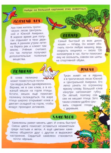 Книжка-панорамка 