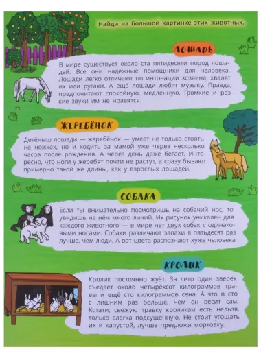 Книжка-панорамка 