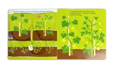 Собираем урожай (Развивающая 3D-книга)