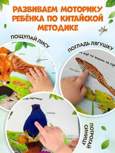 Лесные животные
