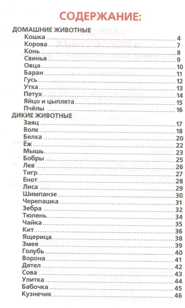 Загадки о животных.