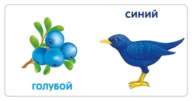 Книжки-картонки. Цвета в природе