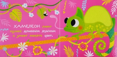 В джунглях