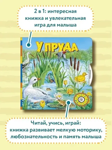 У пруда