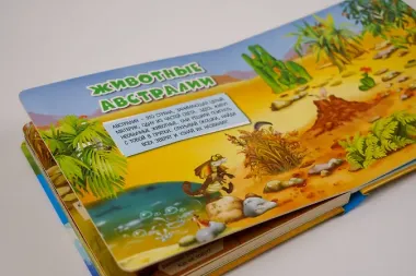 Моя первая книга с окошками