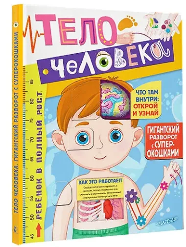 Тело человека