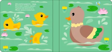 Книжка для купания. Книжка-проявляшка 