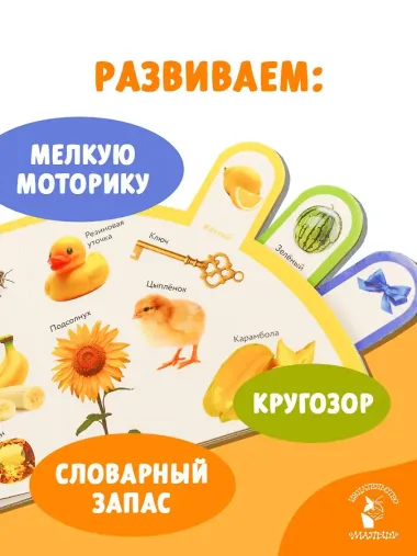 Цвета