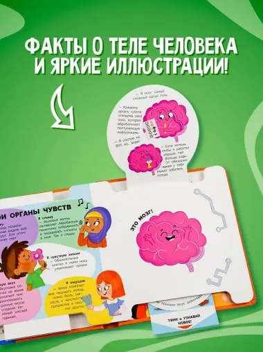 Моё тело
