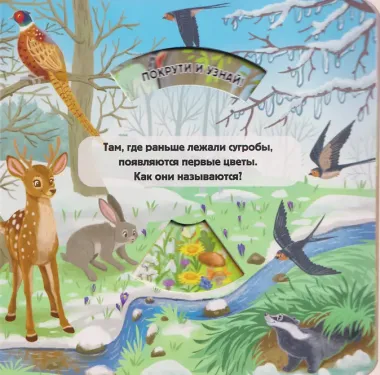 Времена года
