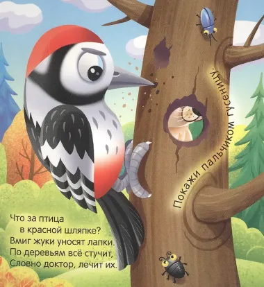 Кто живёт в лесу?