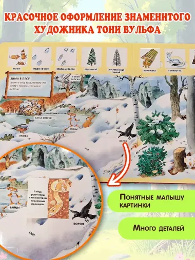 В лесу. Виммельбух