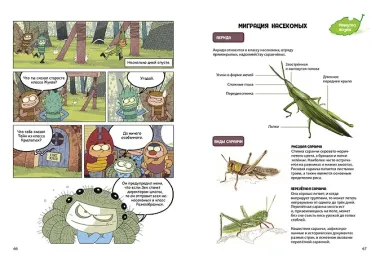 НасеКомиксы. Происшествие в пчелином улье
