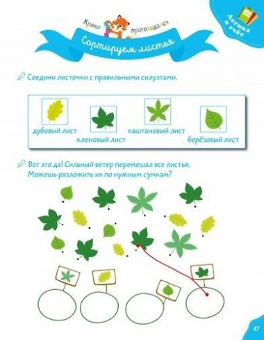 Мои занятия в средней группе 4-5 лет