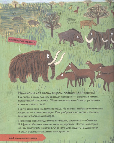 История людей. Моя первая книга о человечестве