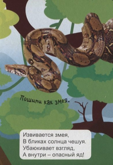 Животные джунглей