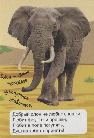Экзотические животные