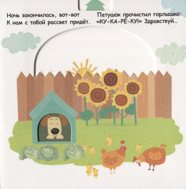 Утро, вечер, день и ночь
