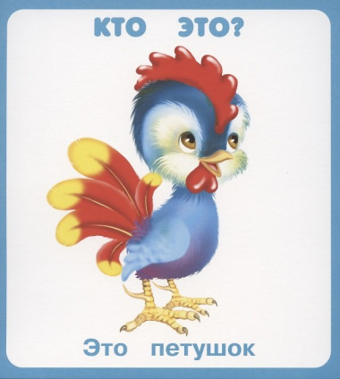 Кто это, что это? Набор карточек