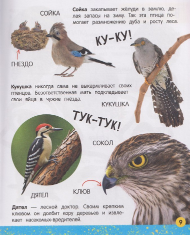Моя большая книга о животных