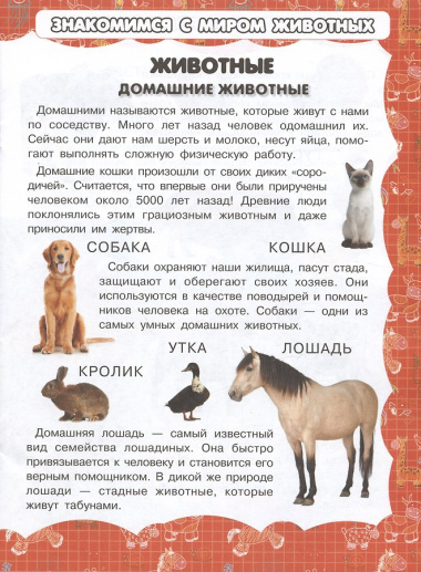 Животные