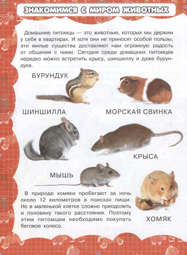 Животные