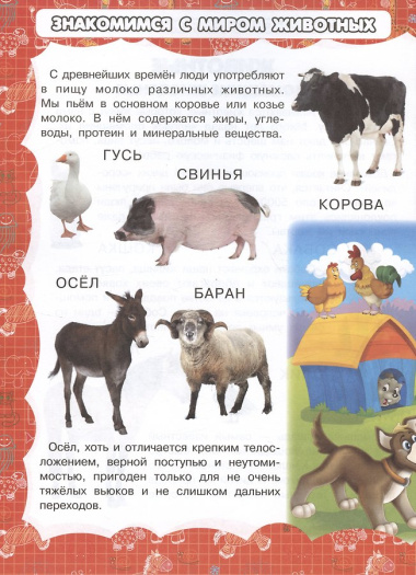 Животные