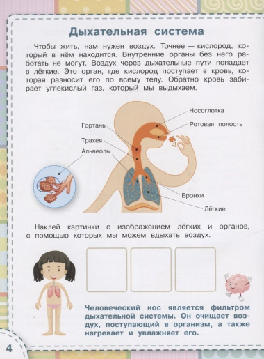 Тело человека. Книжка с многоразовыми наклейкми