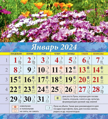 Календарь 2024г 100*140 "Сад и огород. Лунный календарь" настольный, домик