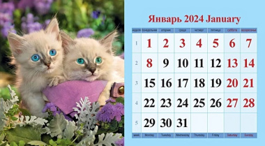 Календарь 2024г 200*140 "Котята 2" настольный, домик