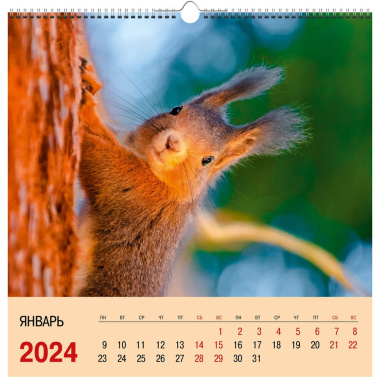 Календарь 2024г 320*320 