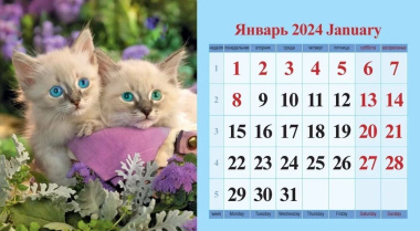 Календарь 2024г 200*140 