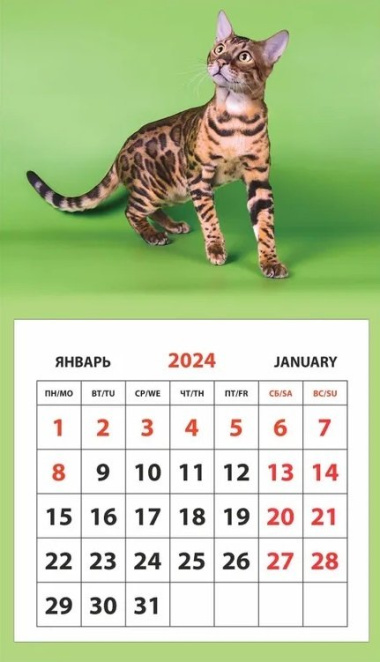 Календарь 2024г 95*165 