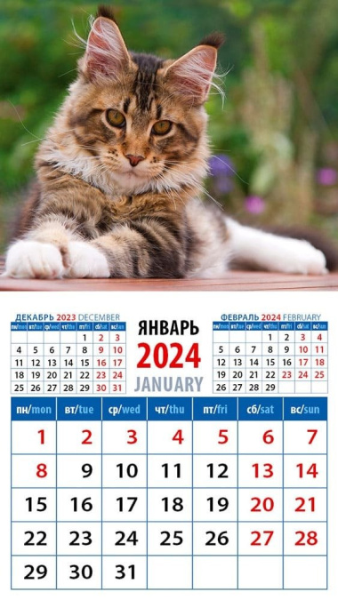 Календарь 2024г 94*167 