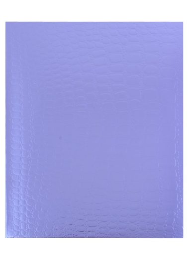 Тетрадь METALLIC CROCO Фиолетовый, клетка, 48 листов