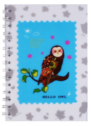 Тетрадь в клетку «Hello owl», 80 листов
