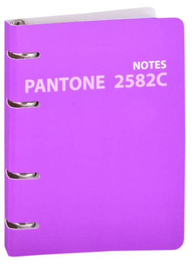 Тетрадь на кольцах Pantone line 2582С, 120 листов