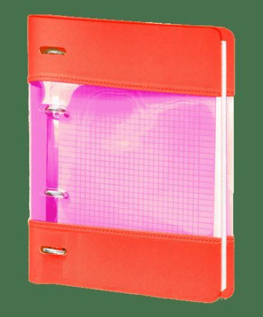 Тетрадь 120 листов (175*212) клетка, InFolio/Инфолио Study Neon оранжевый, кольцевой механизм