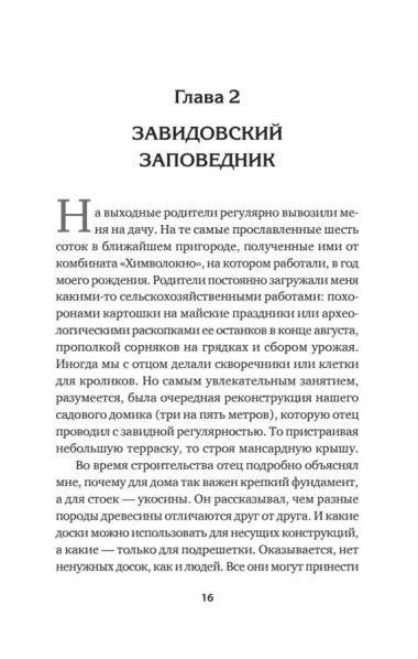 Принцип Рамзая. Записки военного разведчика