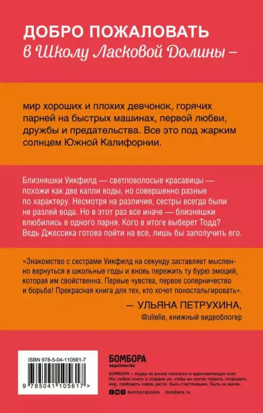 Школа в Ласковой Долине. Парень моей сестры (книга №1)